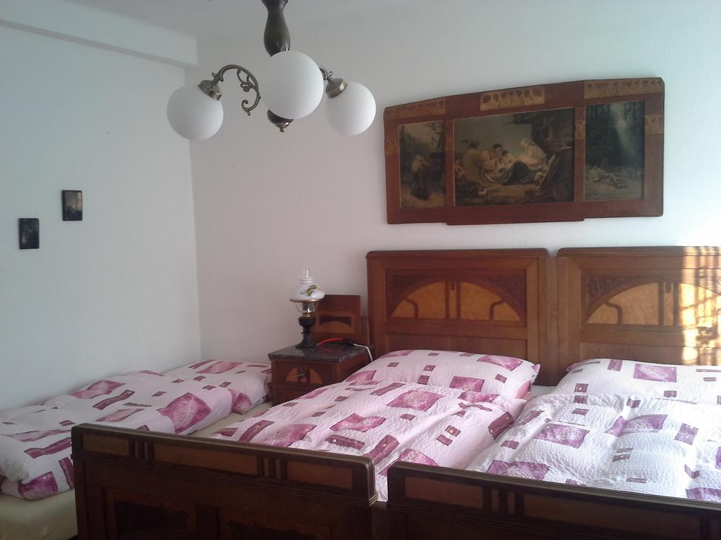 Vila Patricie Luhacovice Room photo